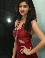 Call Girls In Majnu Ka Tilla-9711014705– Top Female Escort Service