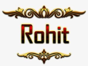 Rohit vip escort services haryana