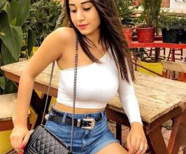 (*~Call Girls In Noida SecTor,44-❤️ 9990118807_Delhi Escort Service in