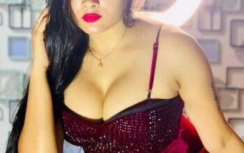 Call Girls In Shahdara 8448421148 Escorts ServiCe In Delhi NCR