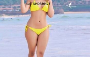 call girls in karkardoom delhi 7840856473