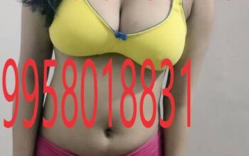 Call Girls in Lajpat Nagar +91-9958018831