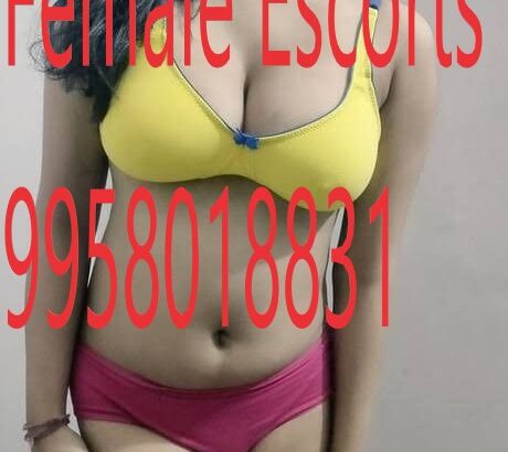 Call Girls in Lajpat Nagar +91-9958018831