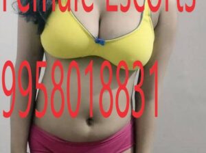 Call Girls in Kotla Mubarakpur +91-9958018831