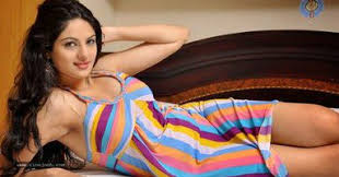 SHOT 1500 NIGHT 7000 Call Girls In Naraina | 9873111406