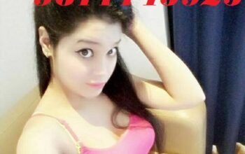 Hotel The Royal Plaza CALL GIRLS IN DELHI 9811145925