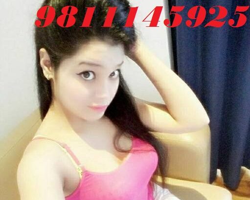 Hotel The Royal Plaza CALL GIRLS IN DELHI 9811145925